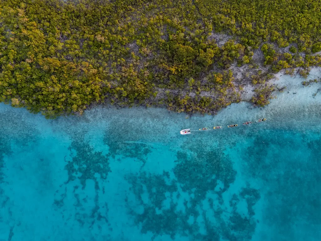 Blue Haven Watersports - Mangrove Clear Kayaks
